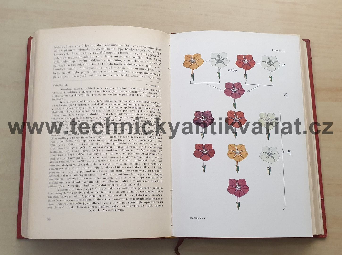 Rostlinopis V. nauka o dědičnosti - A. Brožek (1930)