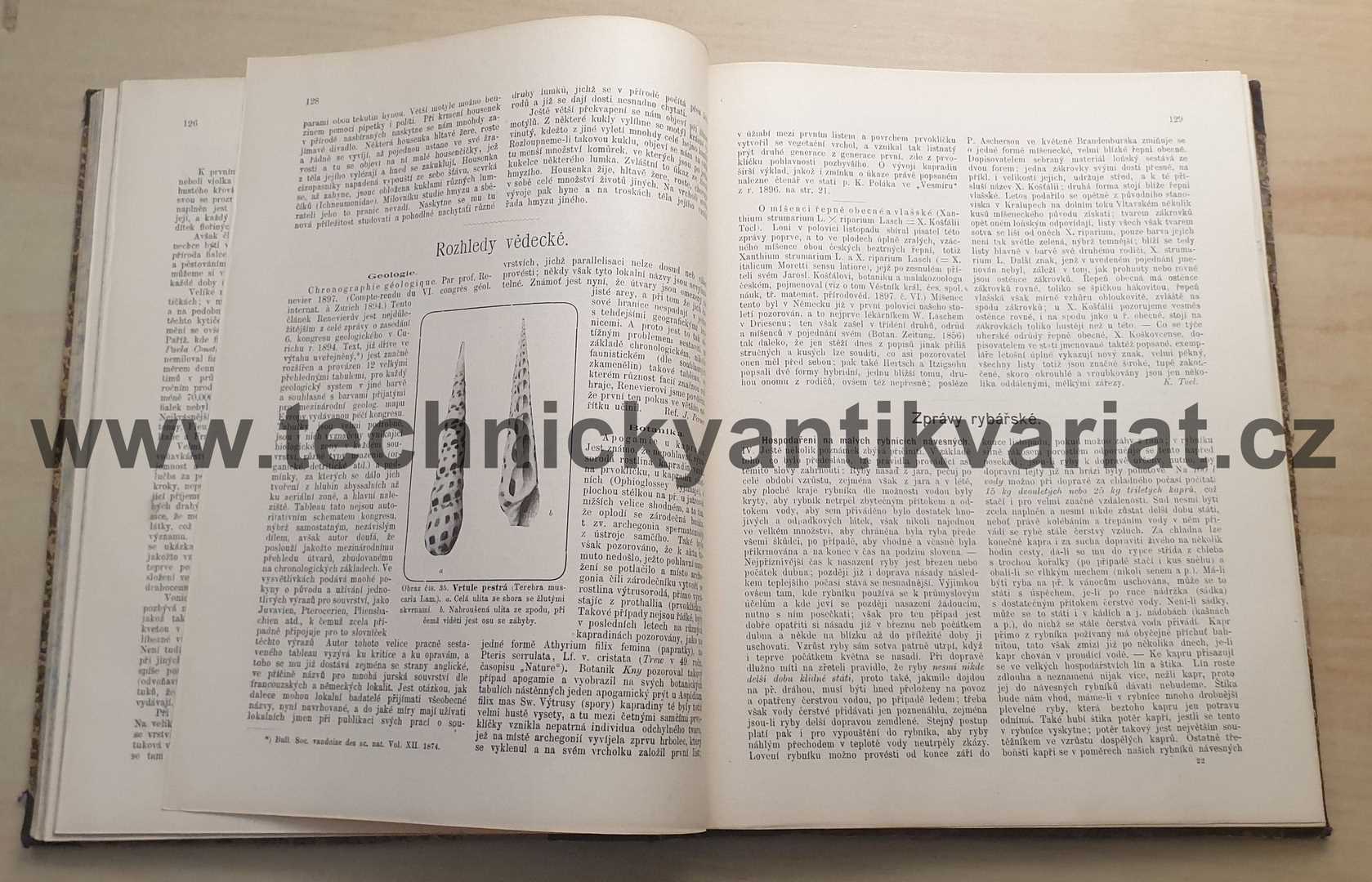 Vesmír 1898, ročník XXVII (kompletní)