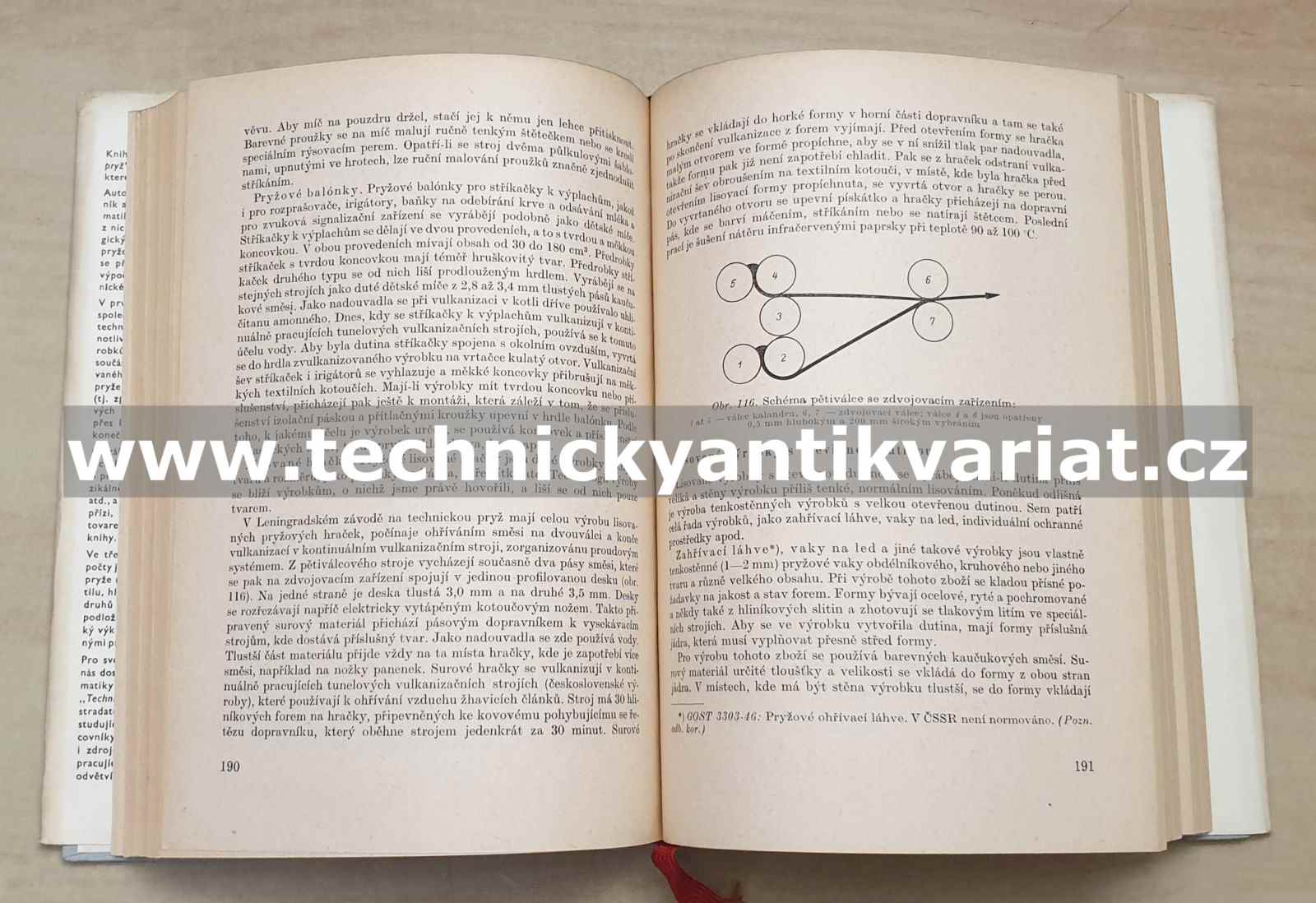 Technická pryž - V. A. Lepetov (1962)