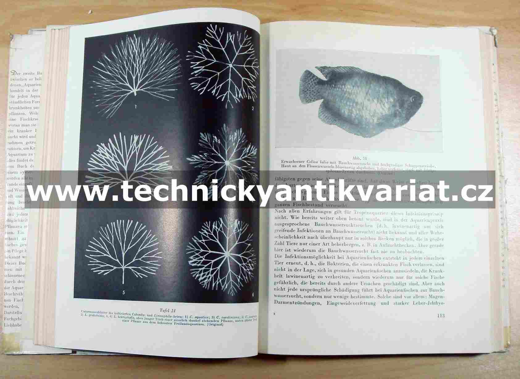 Aquarienkunde I.,II.