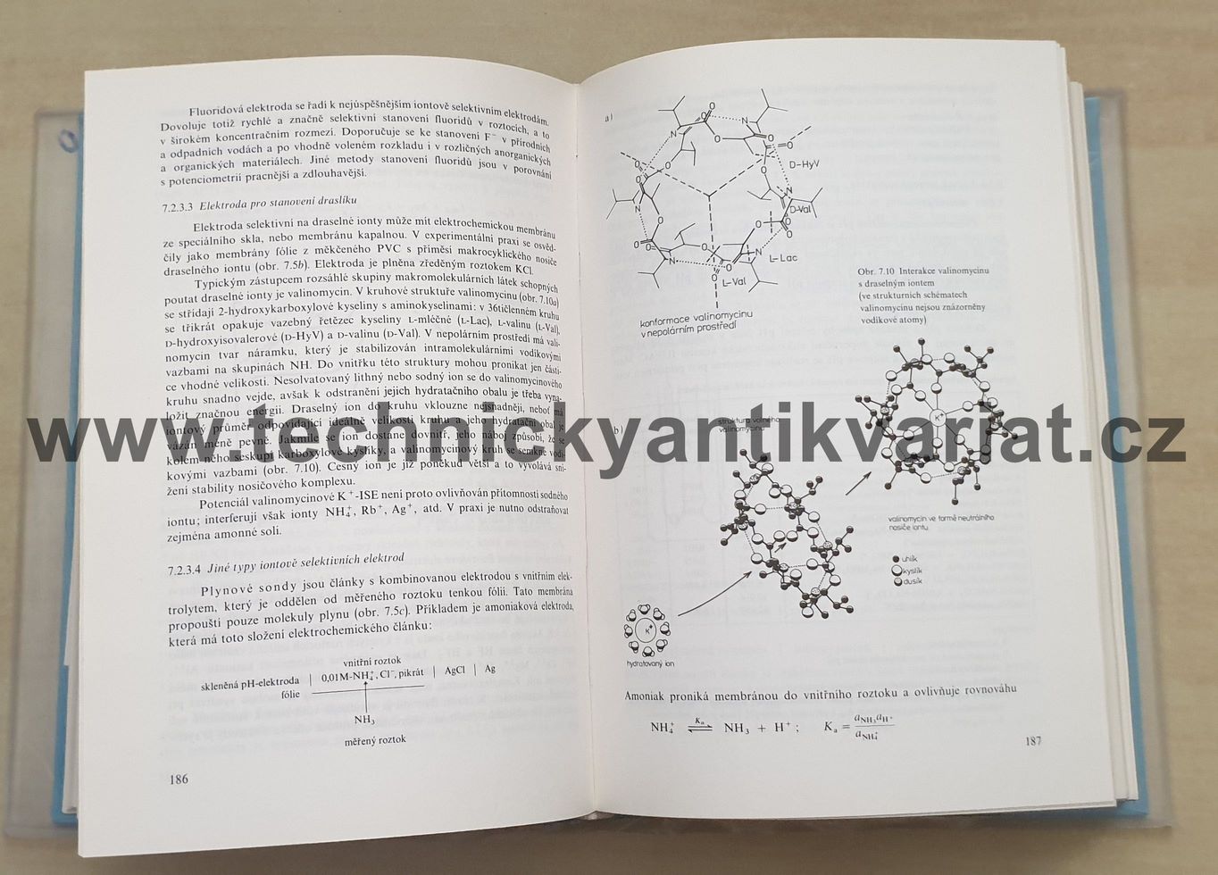 Analytická chemie - Holzbecher, Churáček (1987)