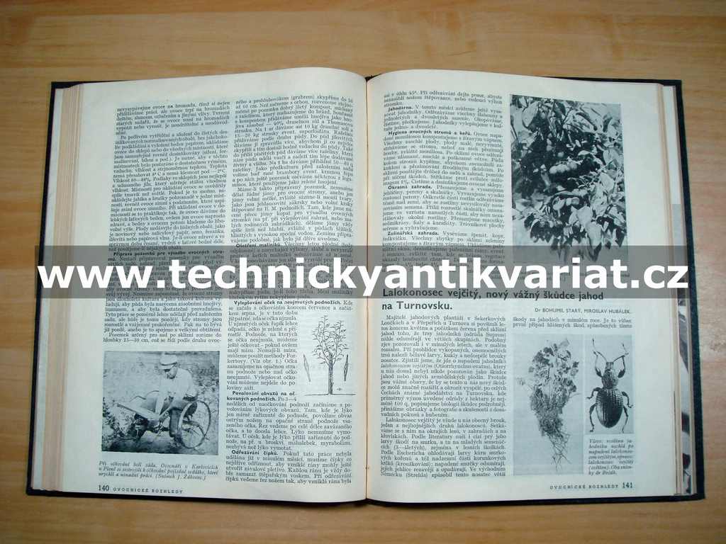 Ovocnické rozhledy 1950