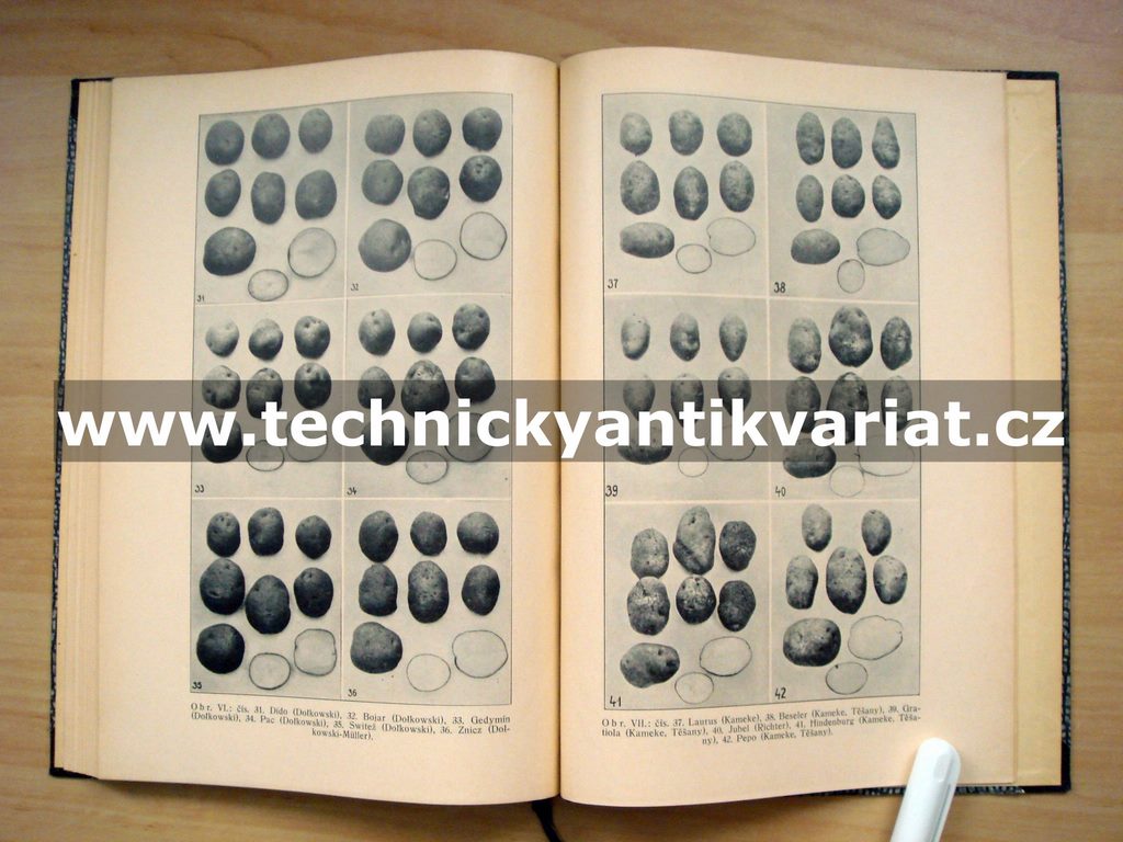 Odrůdové pokusy s brambory v Československu v letech 1921-1928