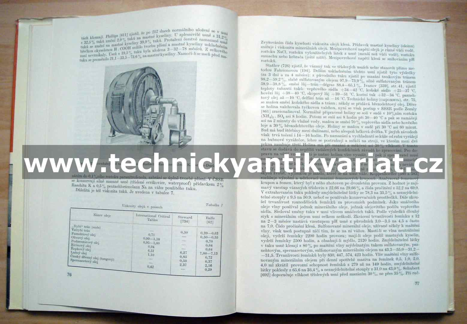 Úprava usní