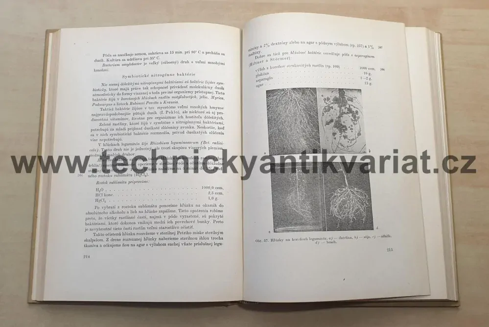 Základy mikrobiologickej laboratornej techniky - P. Němec (1954)