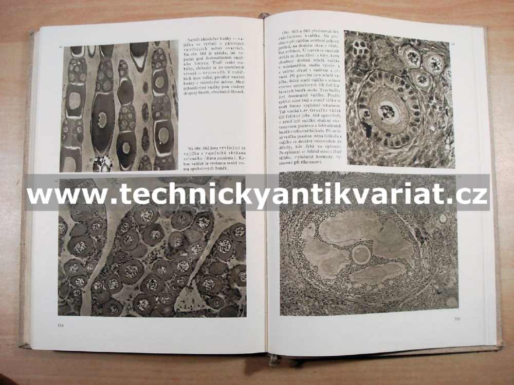 Život pod dobrohledem - Jírovec, Bouček, Fiala (1955)