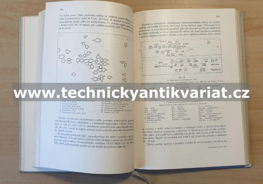 Elektroforesa na papíře a v jiných nosičích - Michalec, Kořínek, Musil, Růžička (1959)