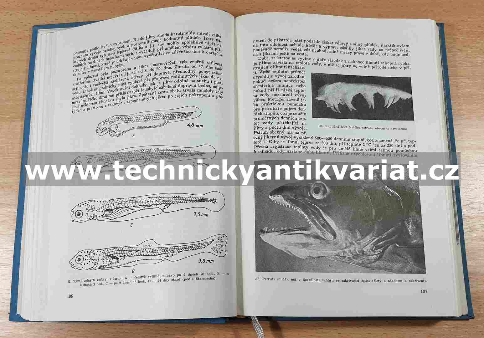 Základy našeho rybářství - Dyk, Podubský, Štědronský (1956)
