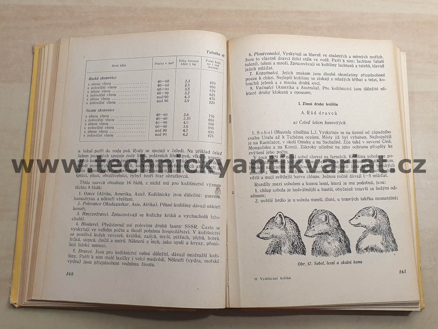 Vydělávání a barvení kožišin - Liboslav Masner (1954)