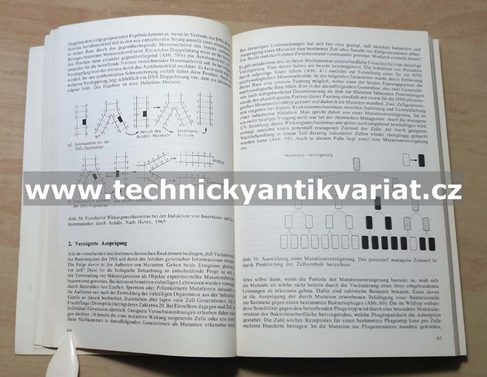 Molekular und Mikroben Genetik - Kaudewitz (1973)