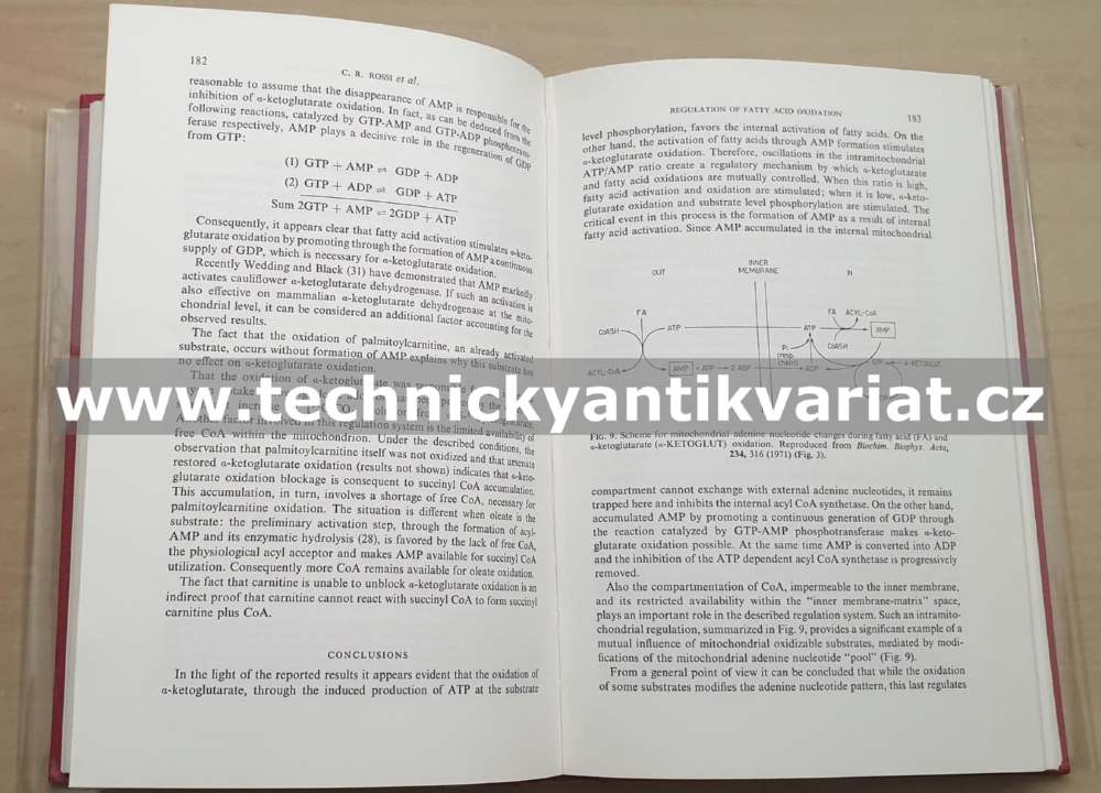 Advances in Enzyme Regulation 10 George Weber (1972)