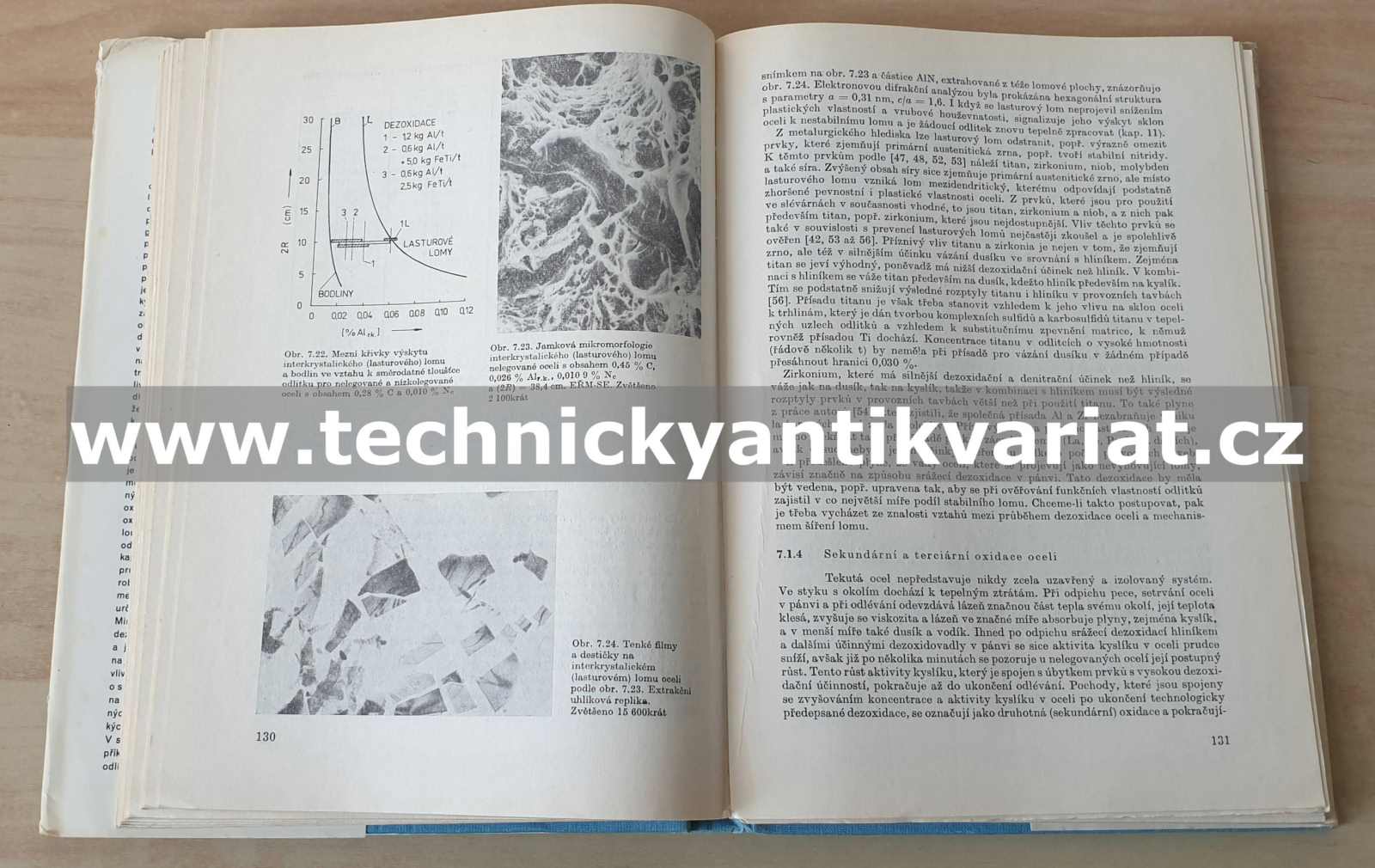 Metalurgické vady ocelových odlitků - Levíček, Stránský (1984)