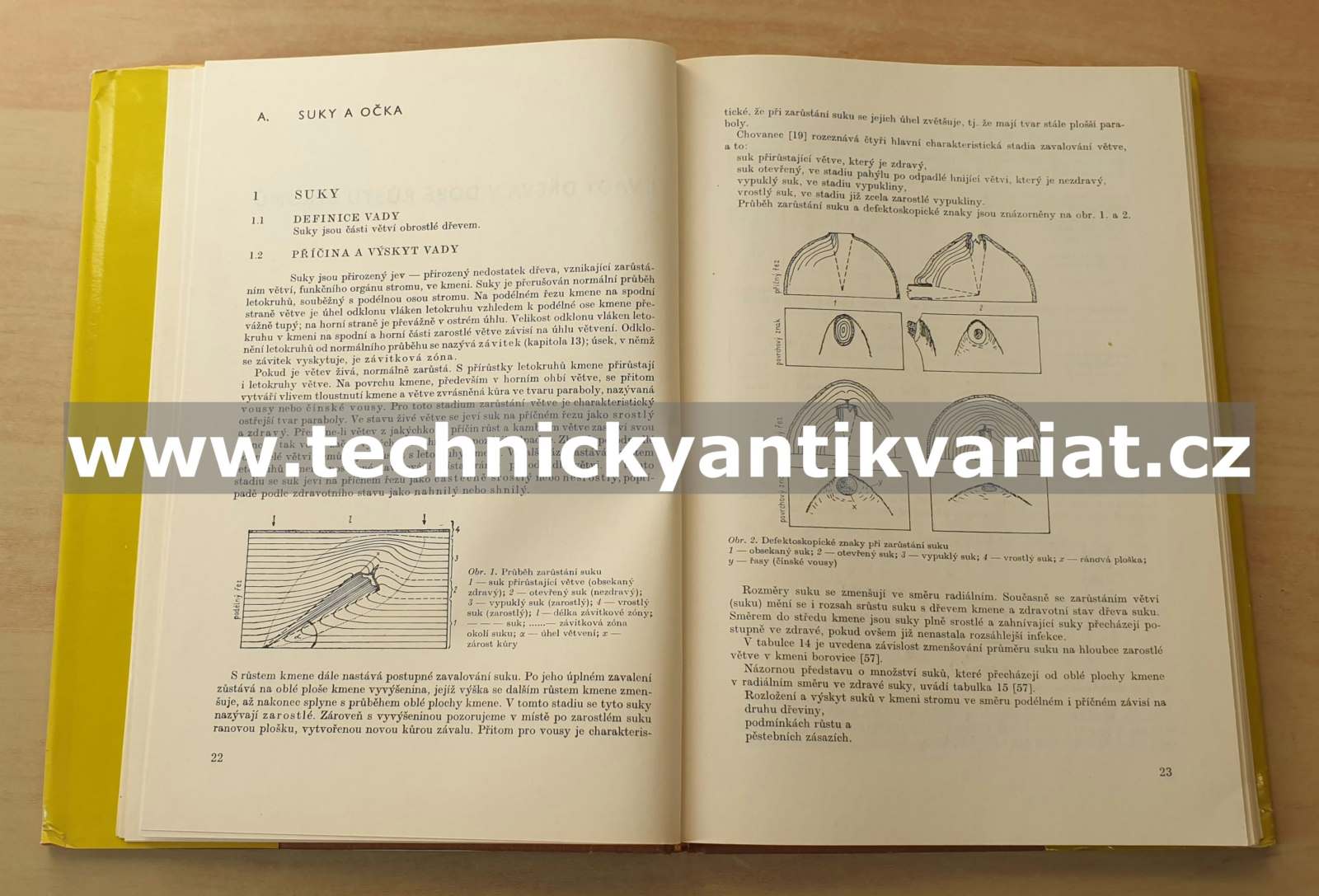 Vady dřeva - Josef Klír (1981)