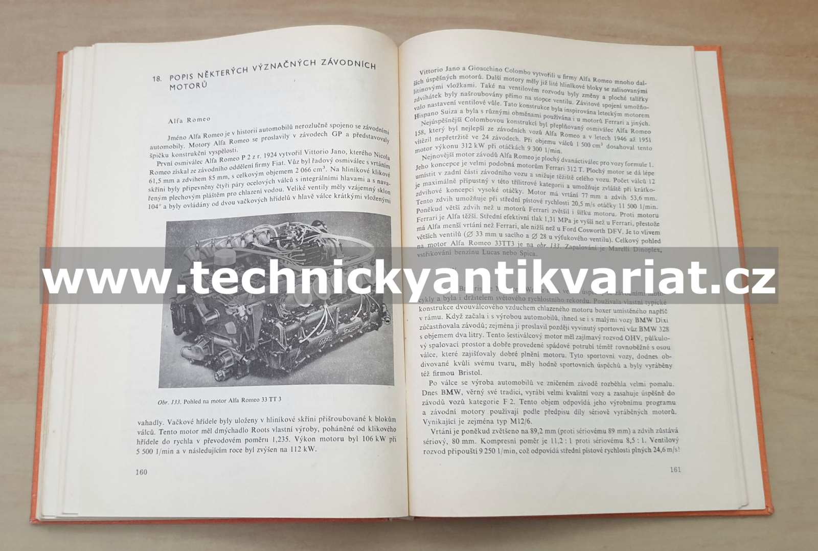 Motory závodních automobilů - Julius Mackerle (1980)
