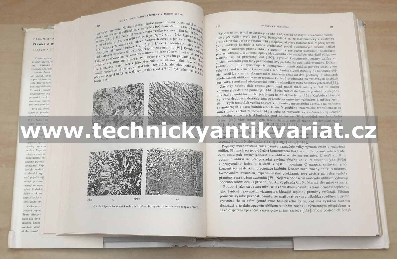 Nauka o materiálu I. Železo a jeho slitiny 2 - Ryš, Cenek, Mazanec, Hrbek (1975)