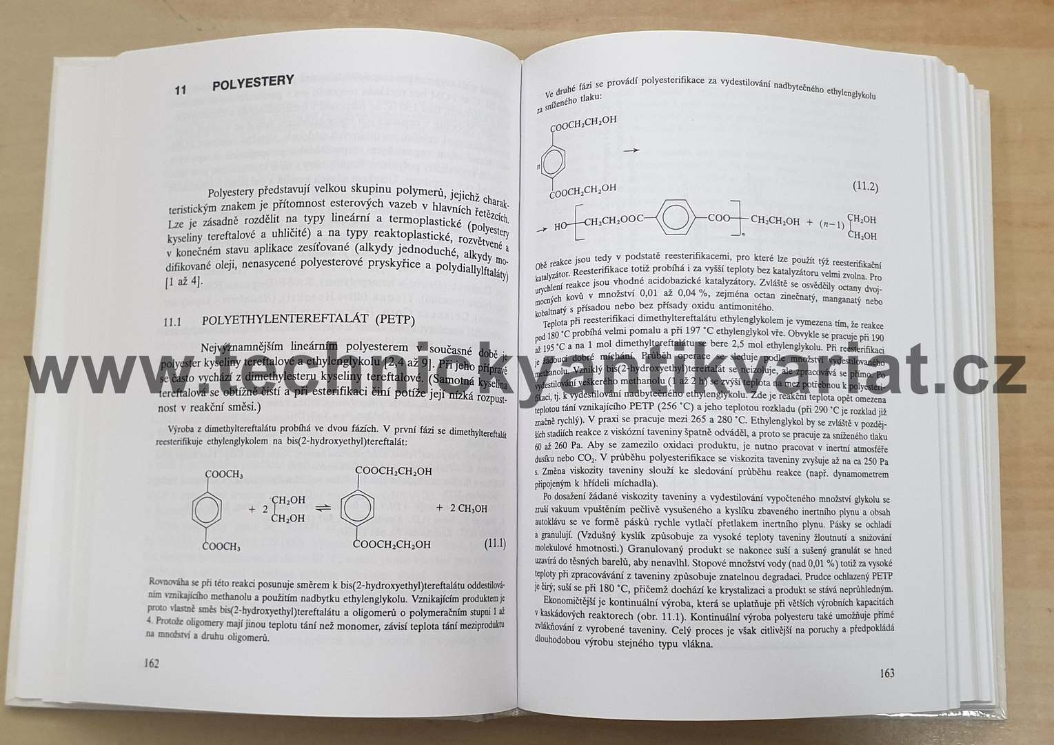 Polymery - J. Mleziva, J. Šňupárek (2000)