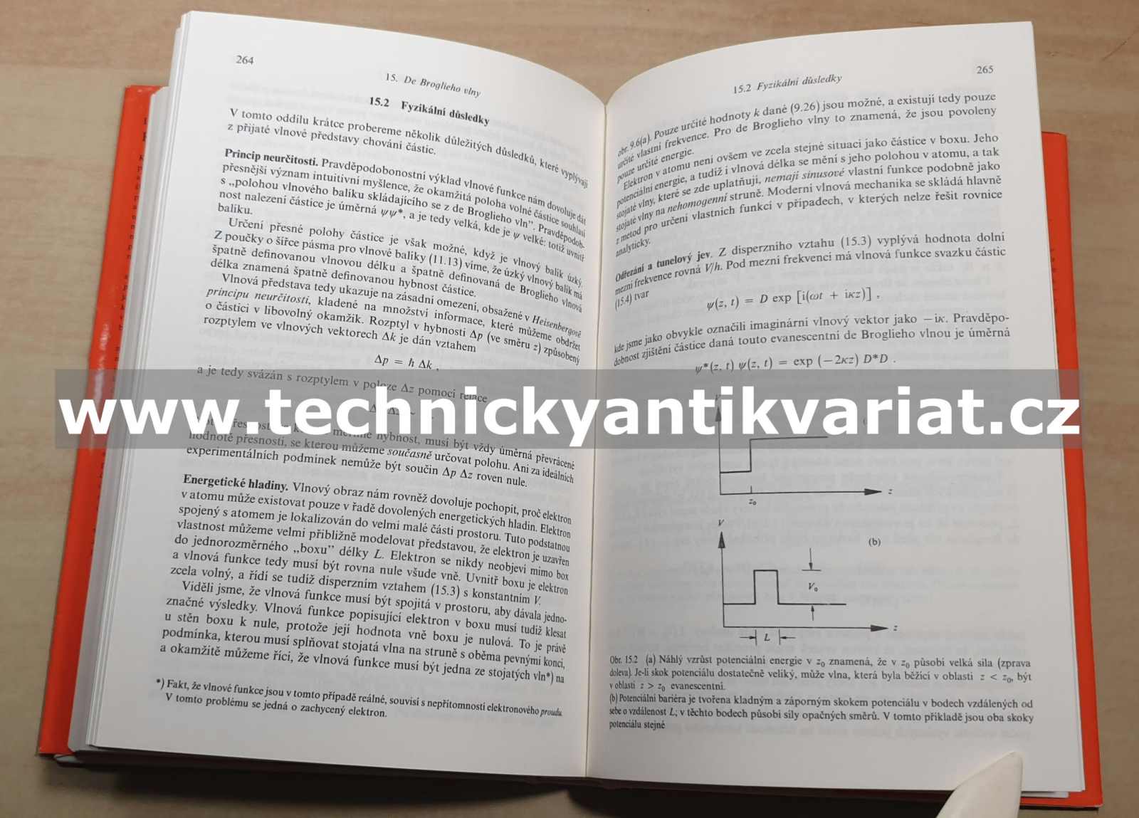 Kmity a vlny ve fyzice - Iain G. Main (1990)
