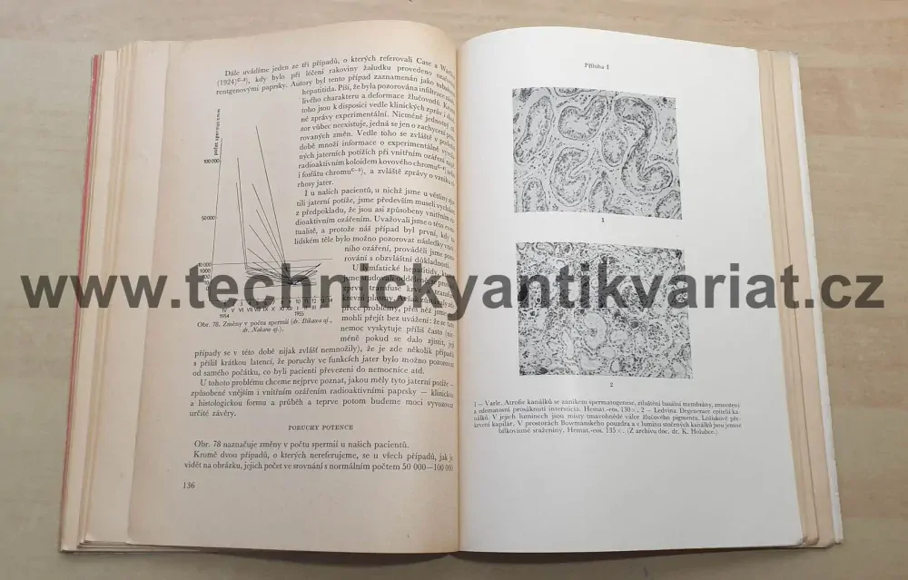 Případ bikini - Nišiwaki, Kojama, Mijoši, Kumatory, Takajama (1959)