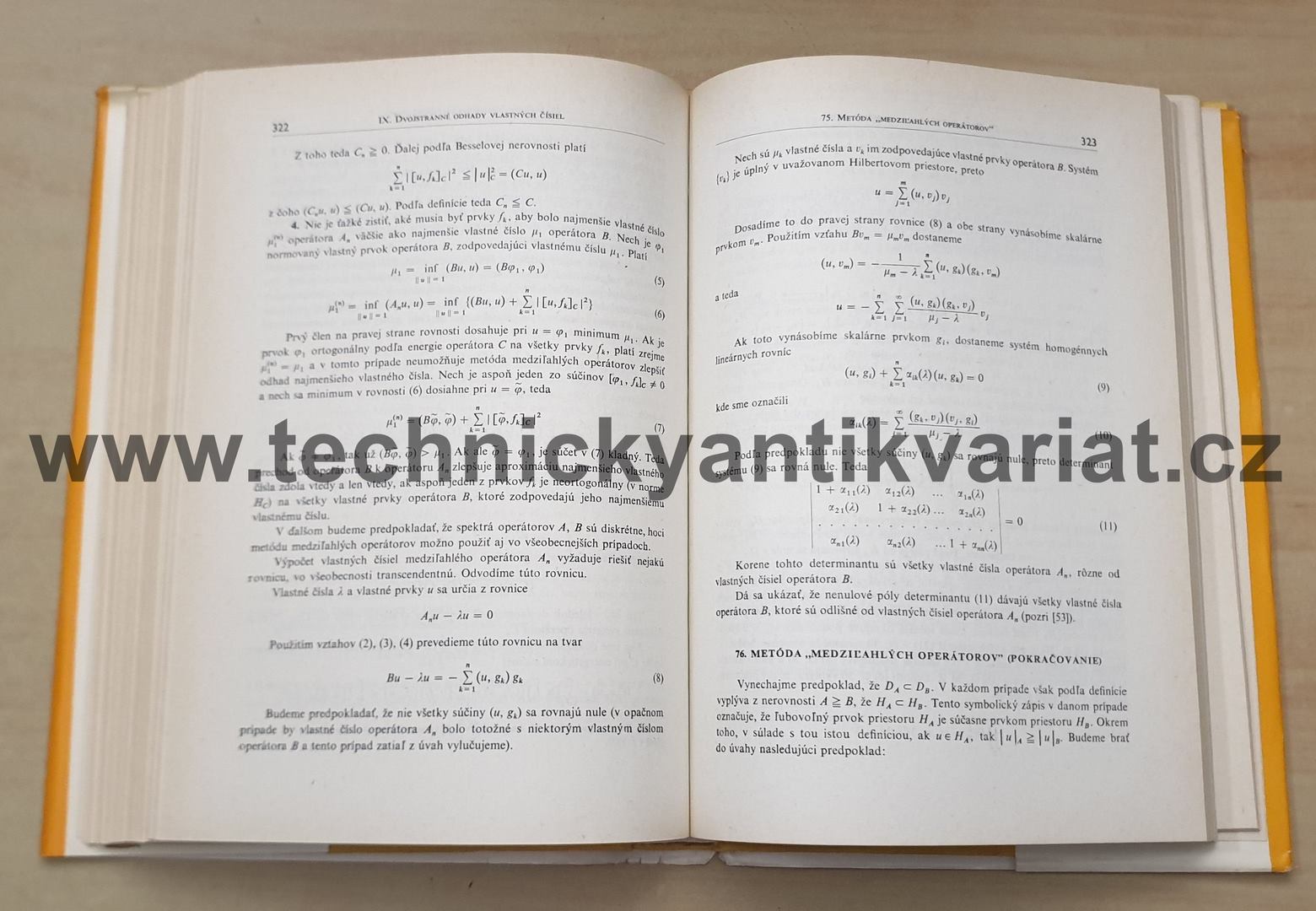 Variačné metody v matematickej fyzike - S.G.Michlin (1974)