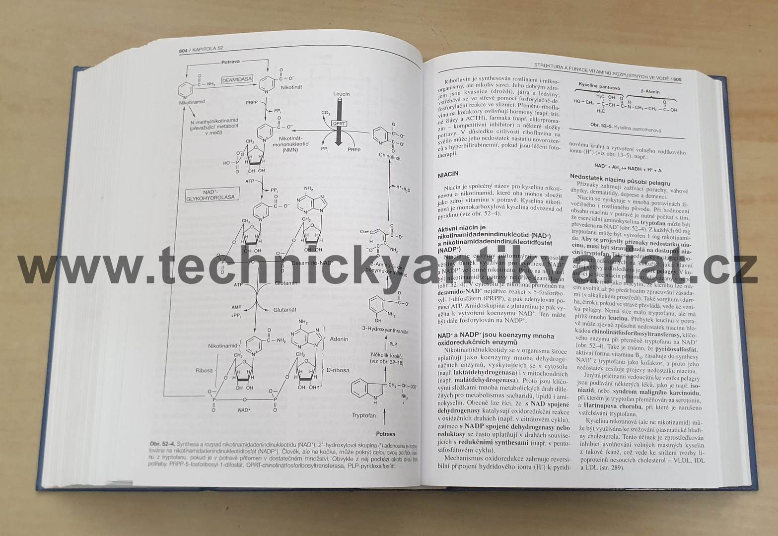 Harperova Biochemie - Murray, Granner, Mayes, Rodwell (2002)