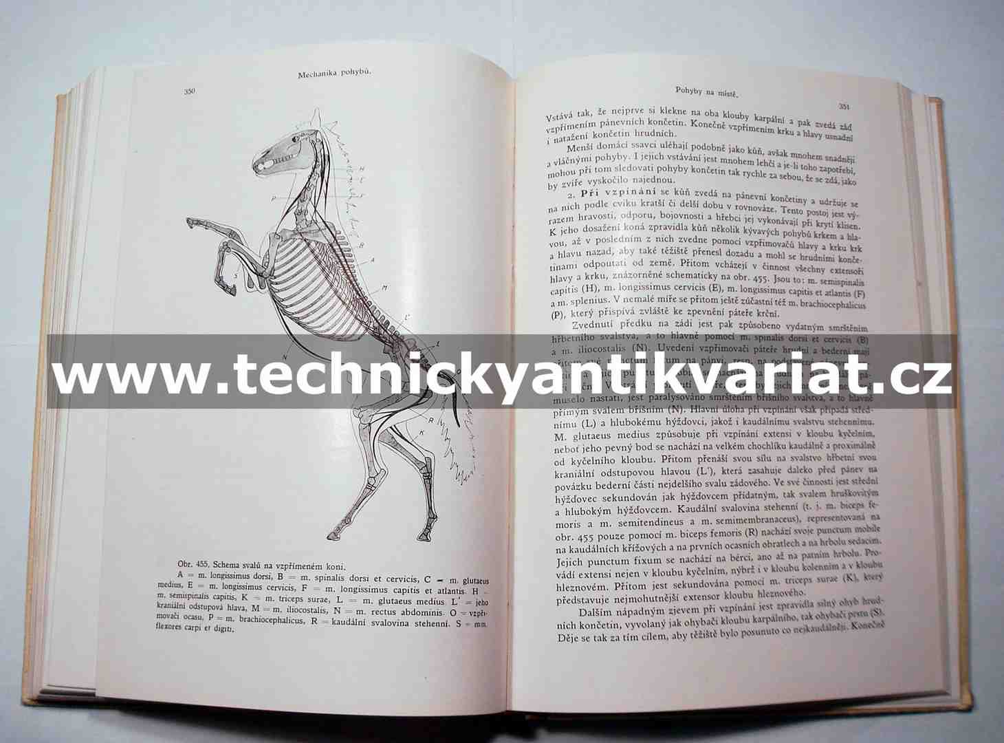 Srovnávací anatomie zvířat domácích III., IV.