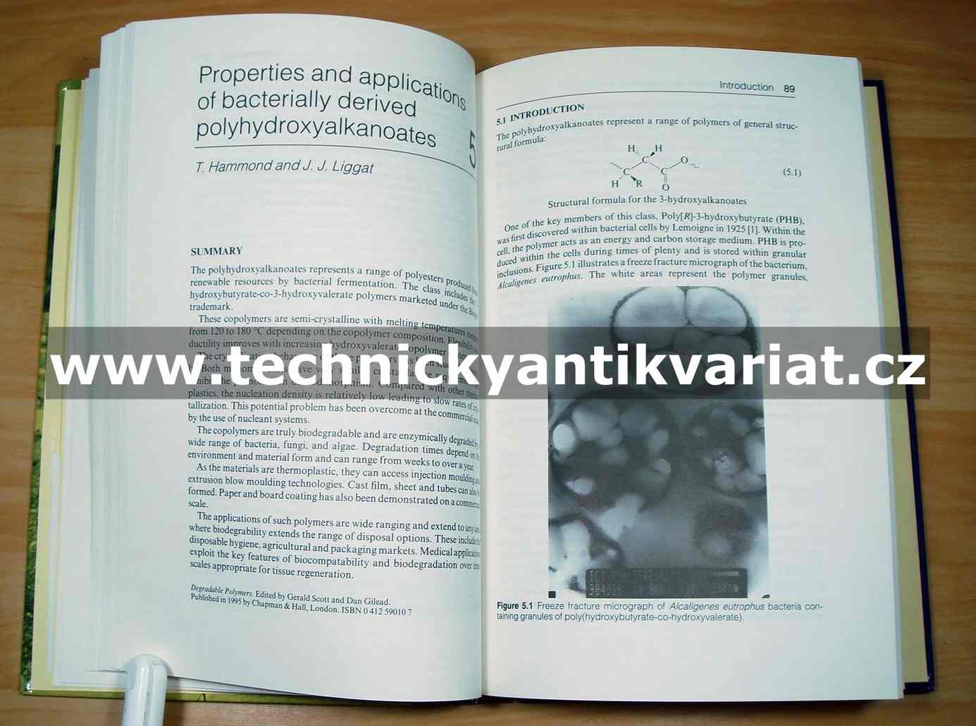 Degradable polymers