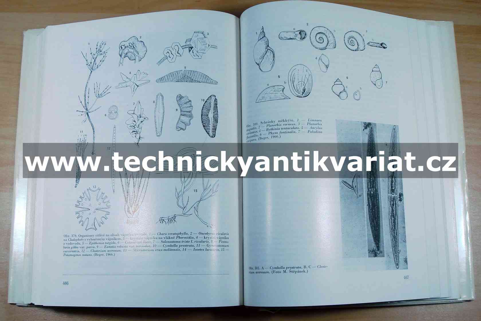 Hygienický význam životních dějů ve vodách