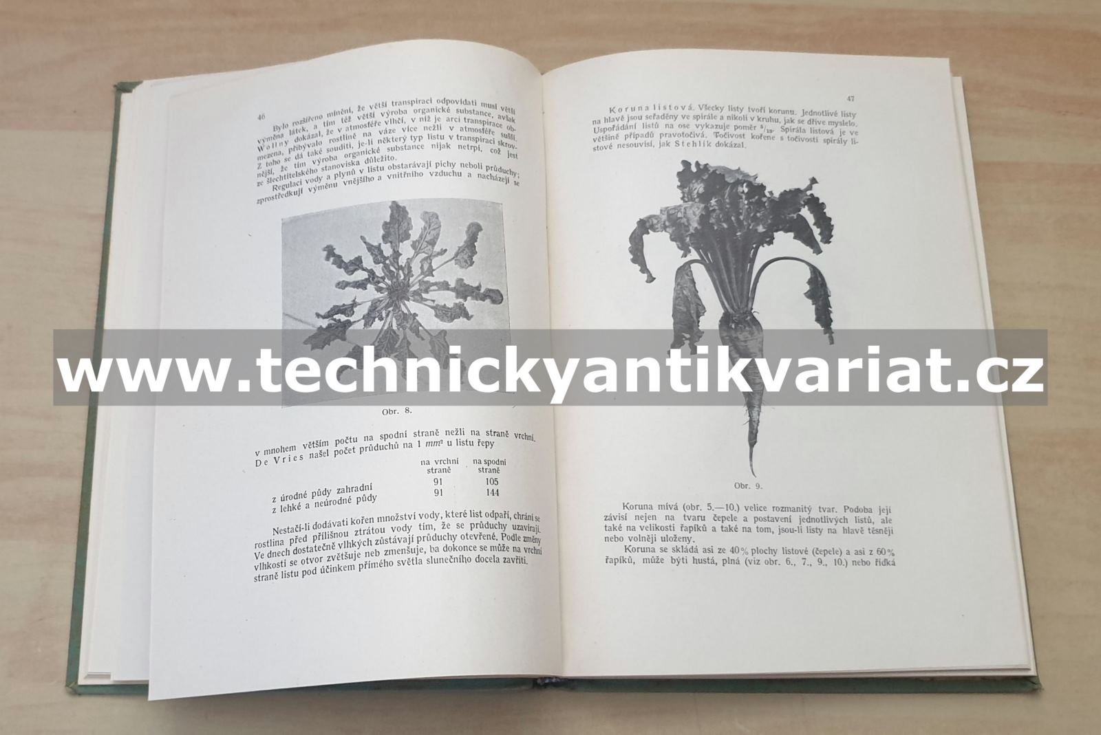 Chemická technologie: tovární výroba řepového cukru a jiných uhlohydrátů II svazek, sešit 1, odíl I. Řepa cukrová - Josef Hanuš (1924)