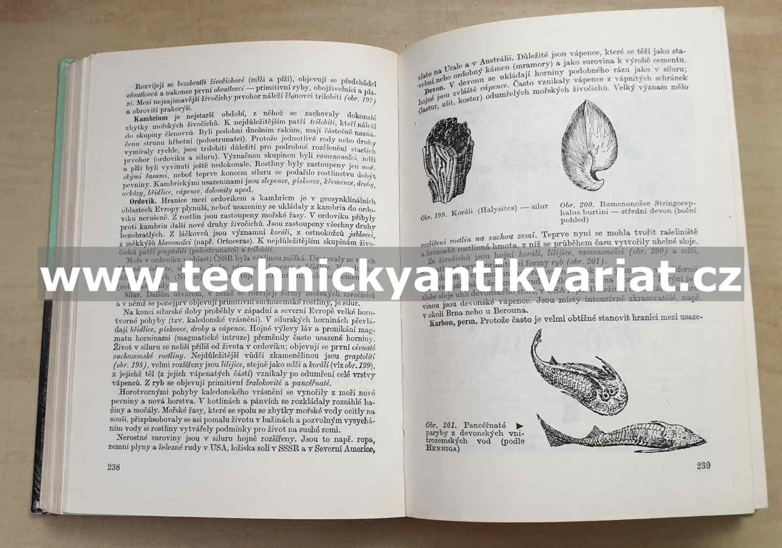 Mineralogie, petrografie a geologie - V. Bambuška, M.Mužík (1981)