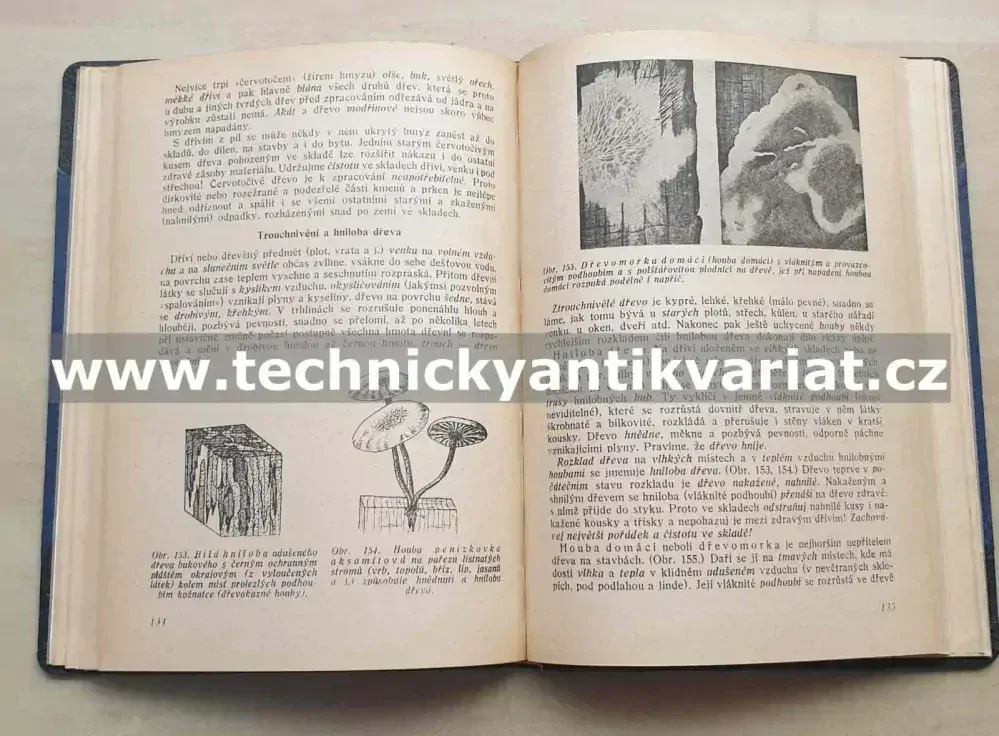 Názorná technologie dřeva - František Jirout (1951)