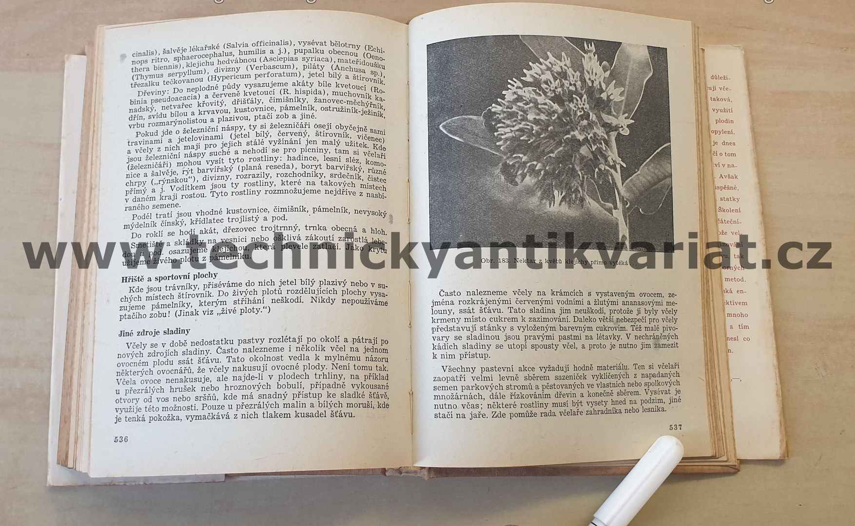 Malá včelařská encyklopedie - Geisler, Lisý, Rošický, Savvin, Svoboda, Tocháček, Vítek - (1954)
