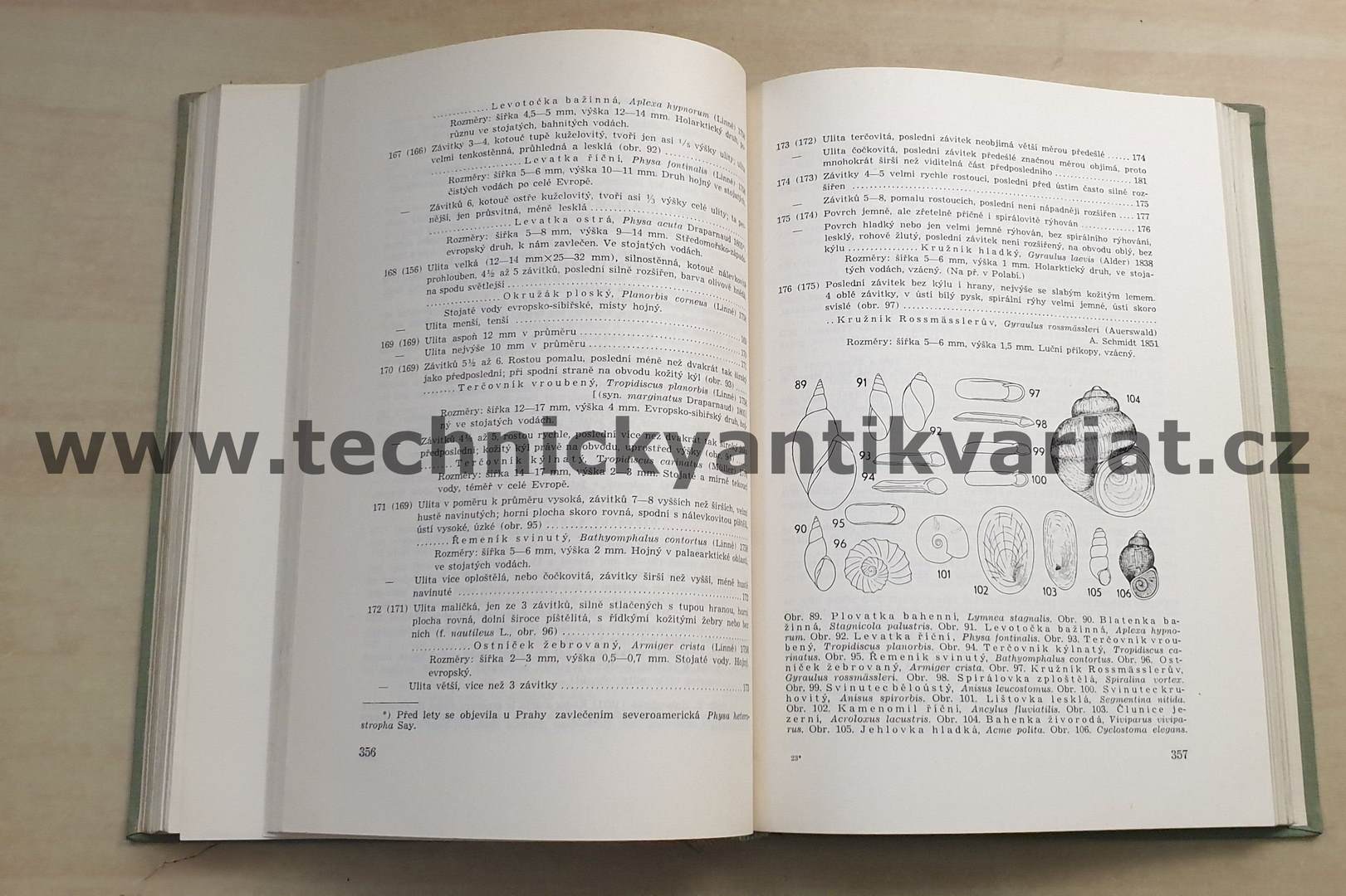 Klíč k určování zvířeny ČSR I. S.Hrabě (1954)