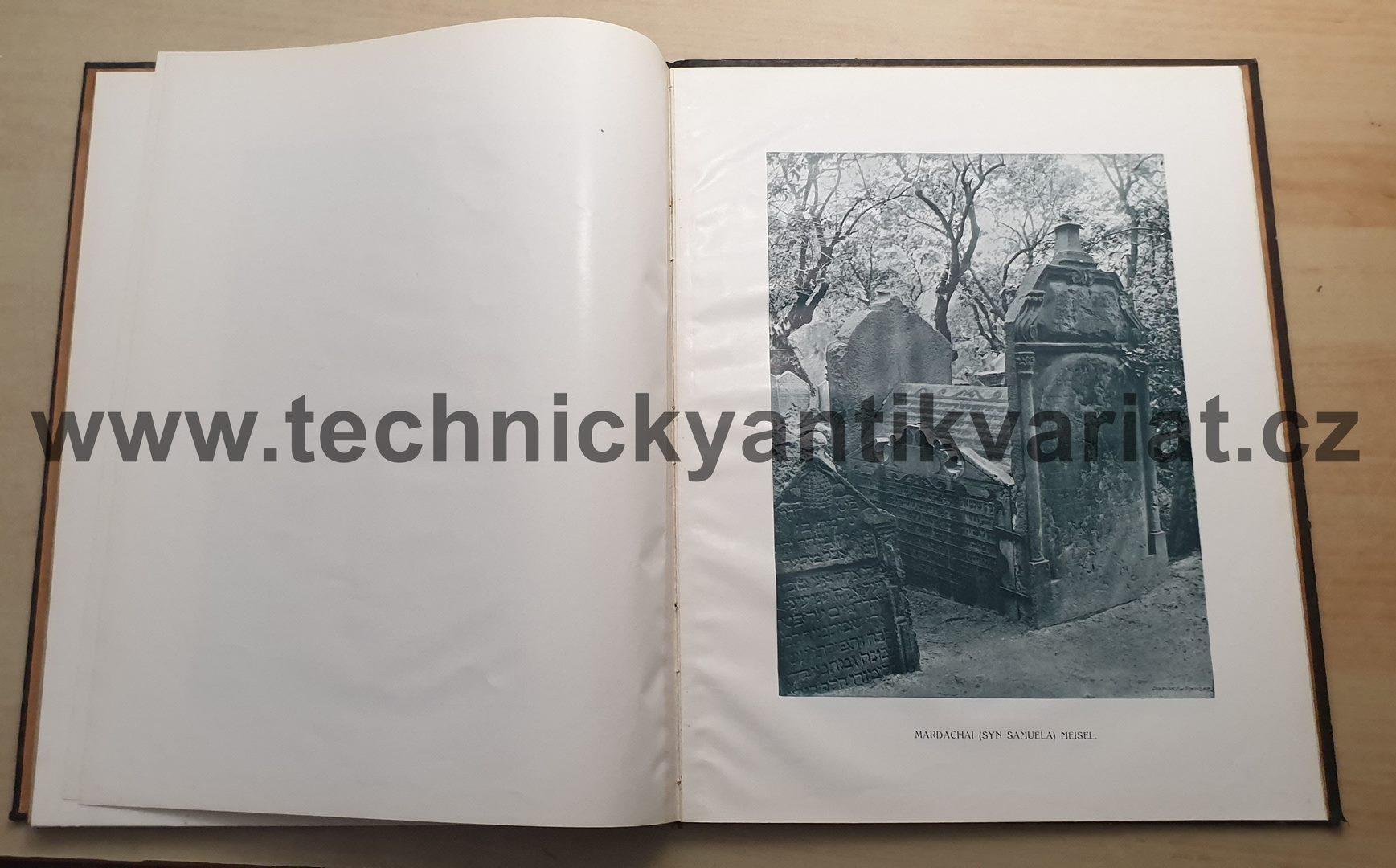Starý židovský hřbitov pražský - Dr. Luboš Jeřábek (1903)