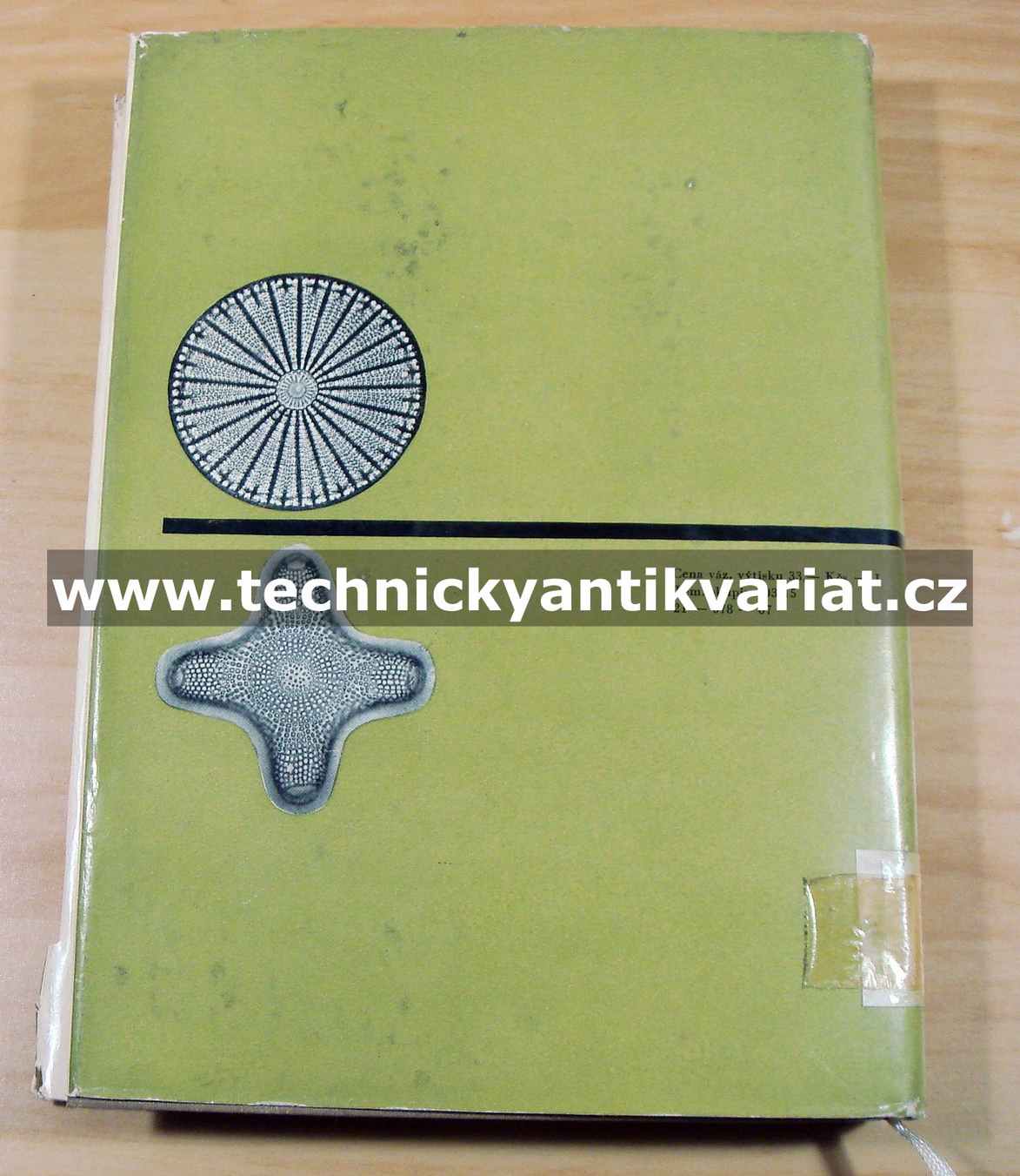 Sinice a řasy - Bohuslav Fott (1967)