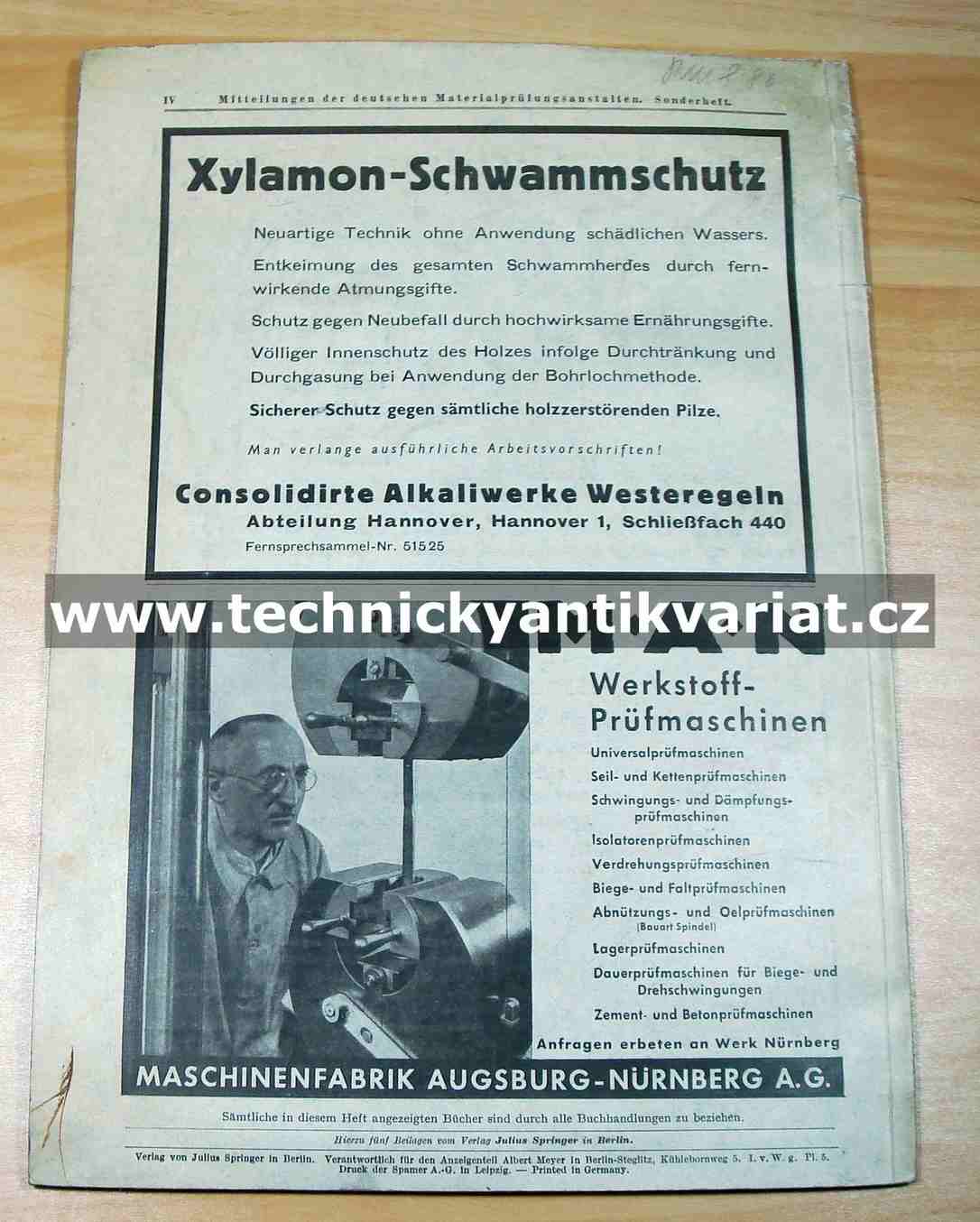 Schwammschäden