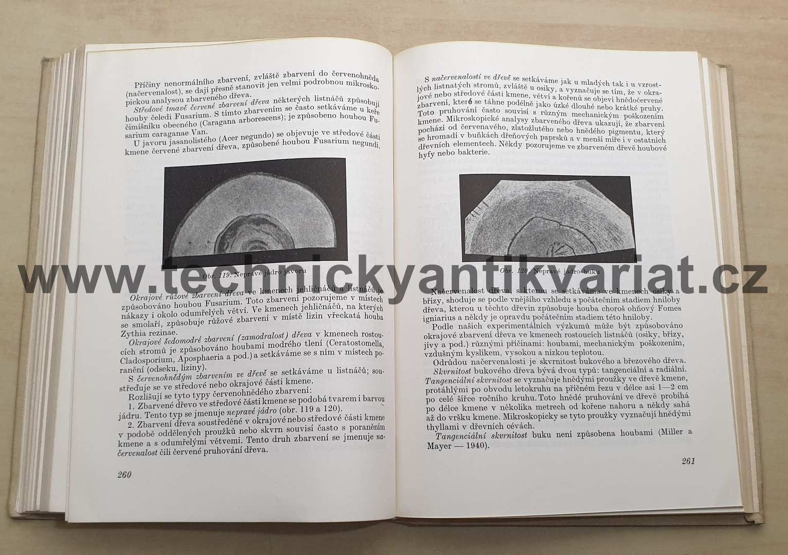 Nauka o dřevě - S.I. Vanin (1955)